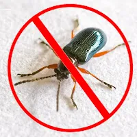 Insect Repellent — Insect Repellent — обложка